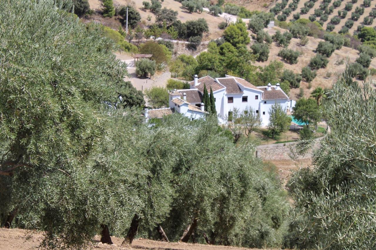Гостевой дом Cortijo La Fe Монтефрио Экстерьер фото
