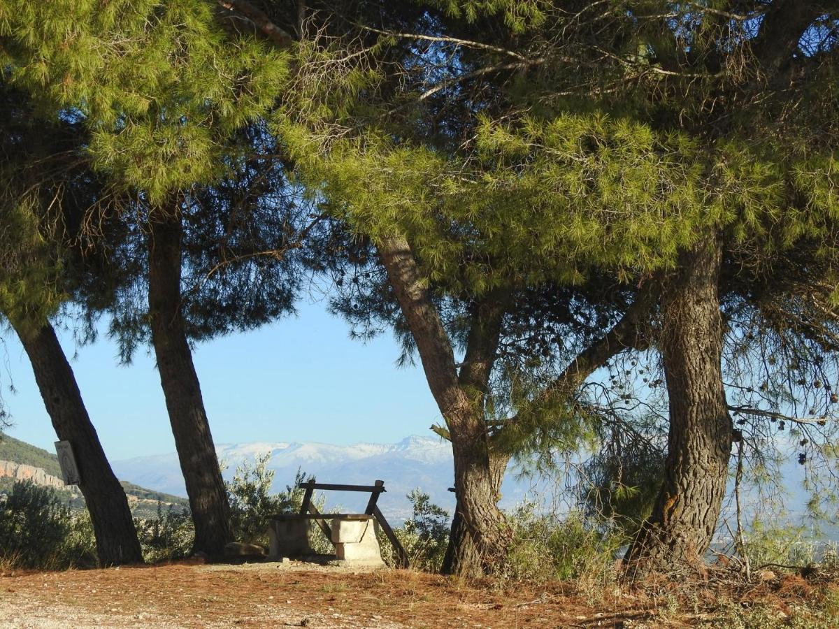 Гостевой дом Cortijo La Fe Монтефрио Экстерьер фото