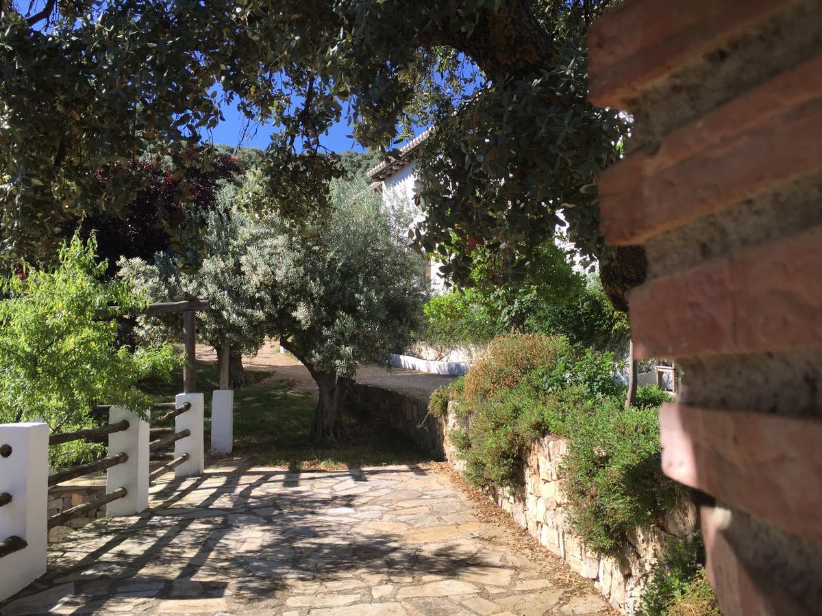 Гостевой дом Cortijo La Fe Монтефрио Экстерьер фото